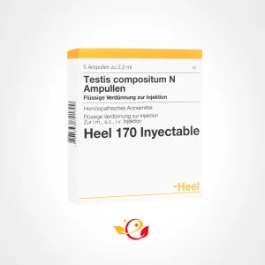 TESTIS COMPOSITUM AMP