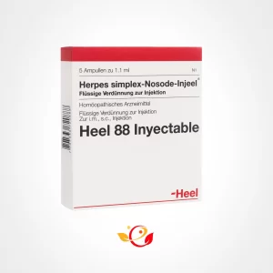 HERPES SIMPLEX-NOSODE AMP X 1,1 ML  X 5 UNIDADES