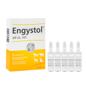 VET. ENGYSTOL AMP X 5 ML  X 5 UNIDADES